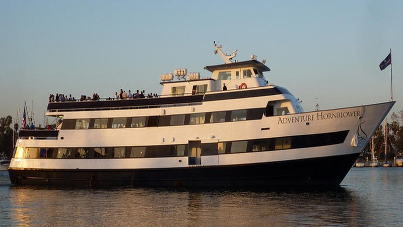 Adventure Hornblower | San Diego Bay Cruises