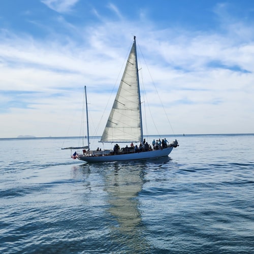 Sailing Yachts & Catamaran yacht