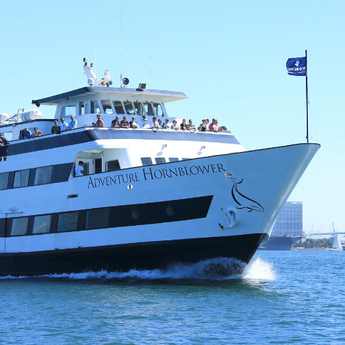 #1 Party Boat Charter San Diego