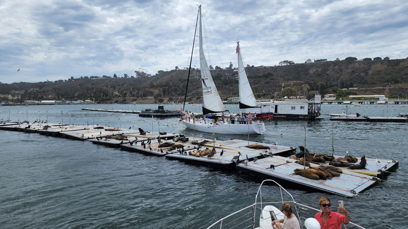 San Diego Yacht Exclusive Private Cruises image