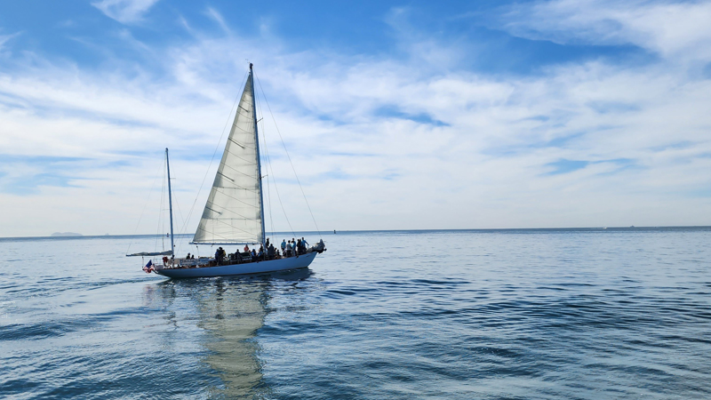 San Diego Yacht Harbor Cruise image