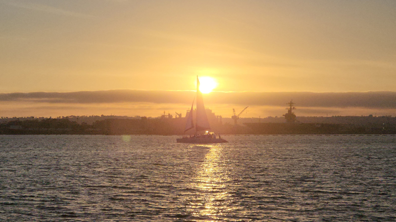 San Diego Yacht Harbor Cruise image