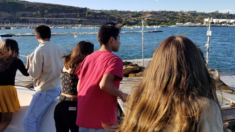 San Diego Yacht Wildlife Seafari image