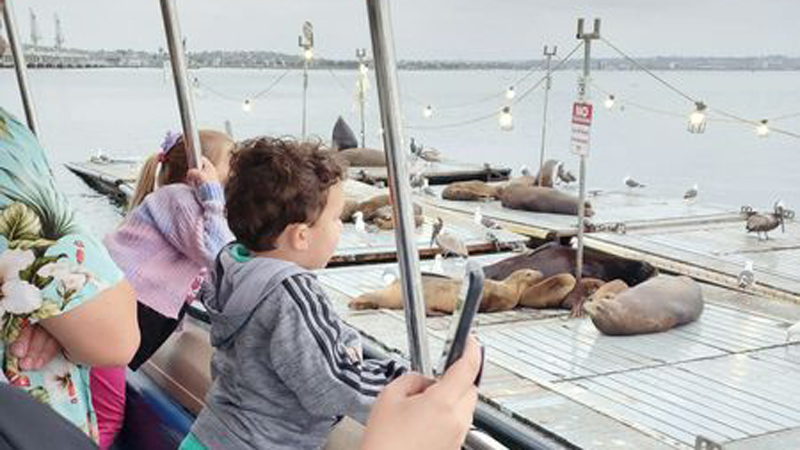 San Diego Yacht Wildlife Seafari image