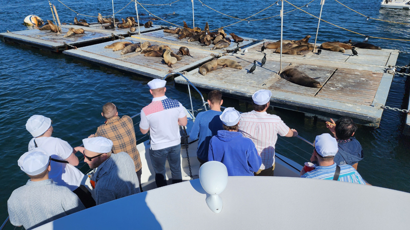 San Diego Yacht Wildlife Seafari image