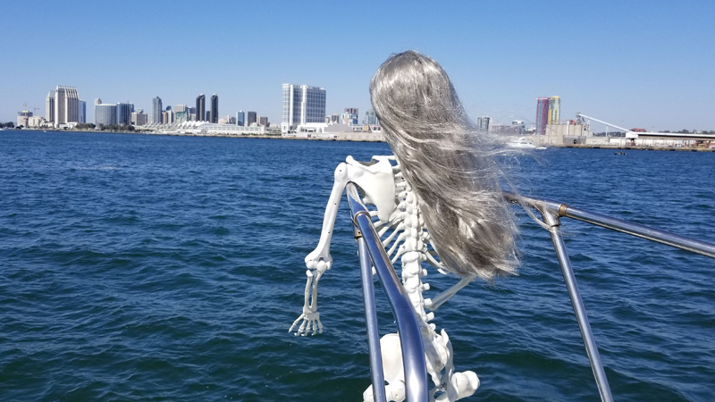San Diego Yacht Holiday Parties image